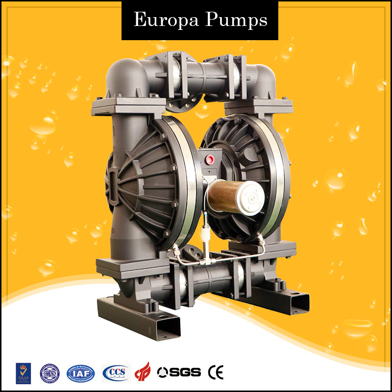 Double Diaphragm Pump 02, Ceracin