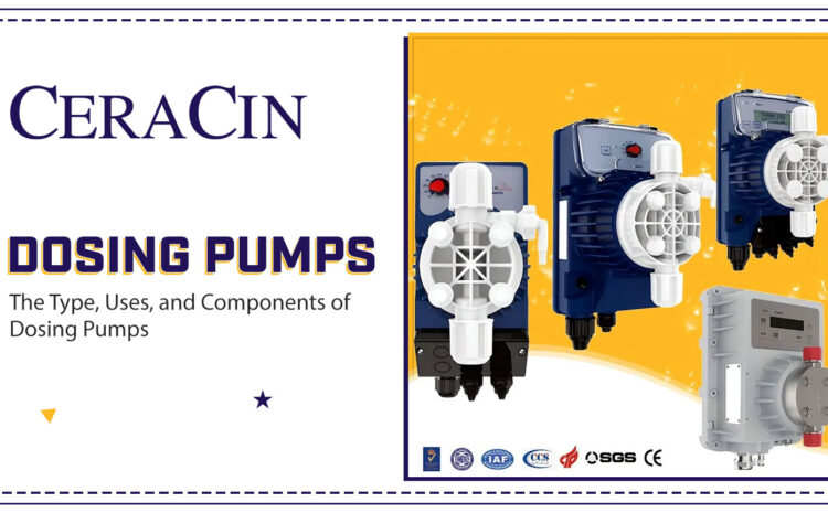  The Type, Uses, and Components of Dosing Pumps