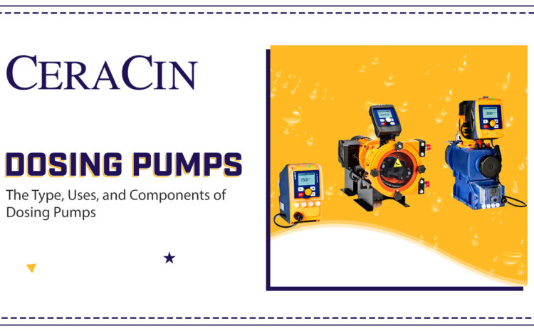  The Type, Uses, and Components of Dosing Pumps