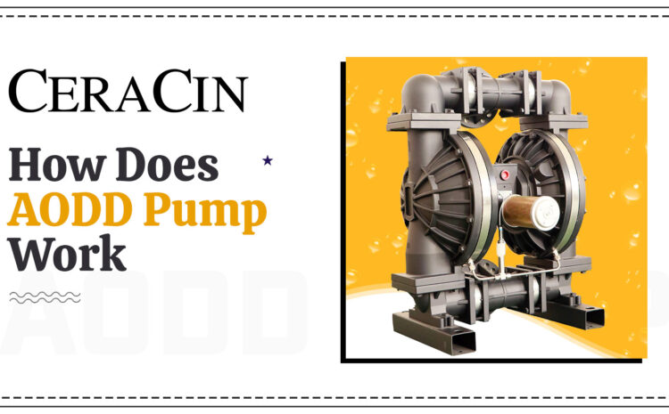  How does AODD Pump Work?