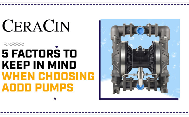  5 Factors to Keep in Mind When Choosing AODD Pumps