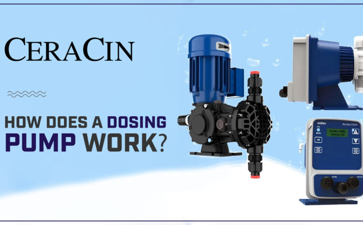  How Does a Dosing Pump Work?